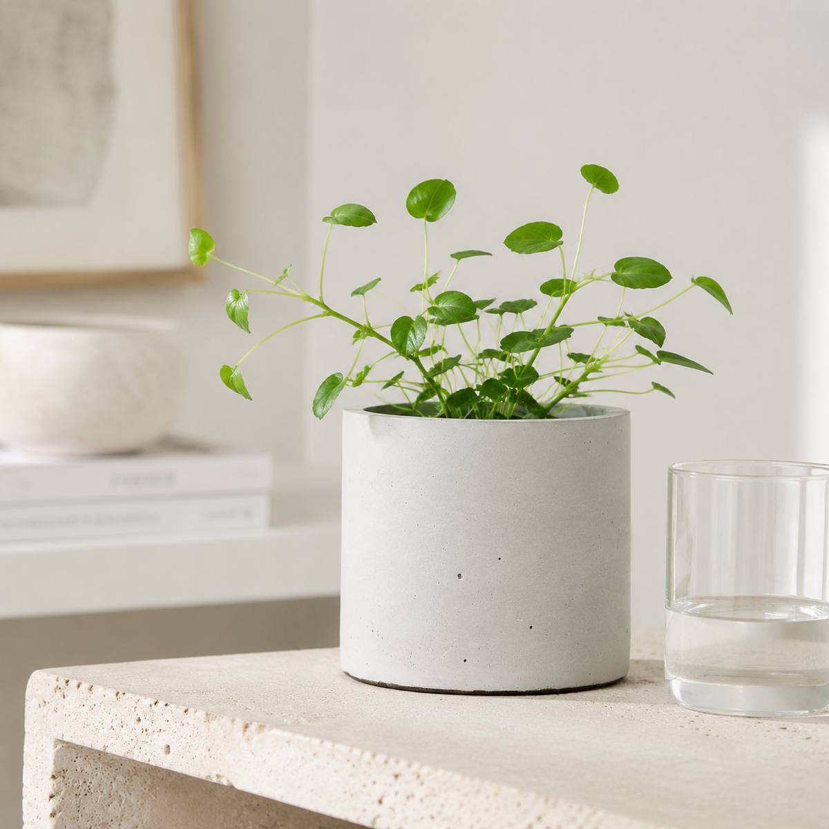 Concrete objects – round concrete planter 002