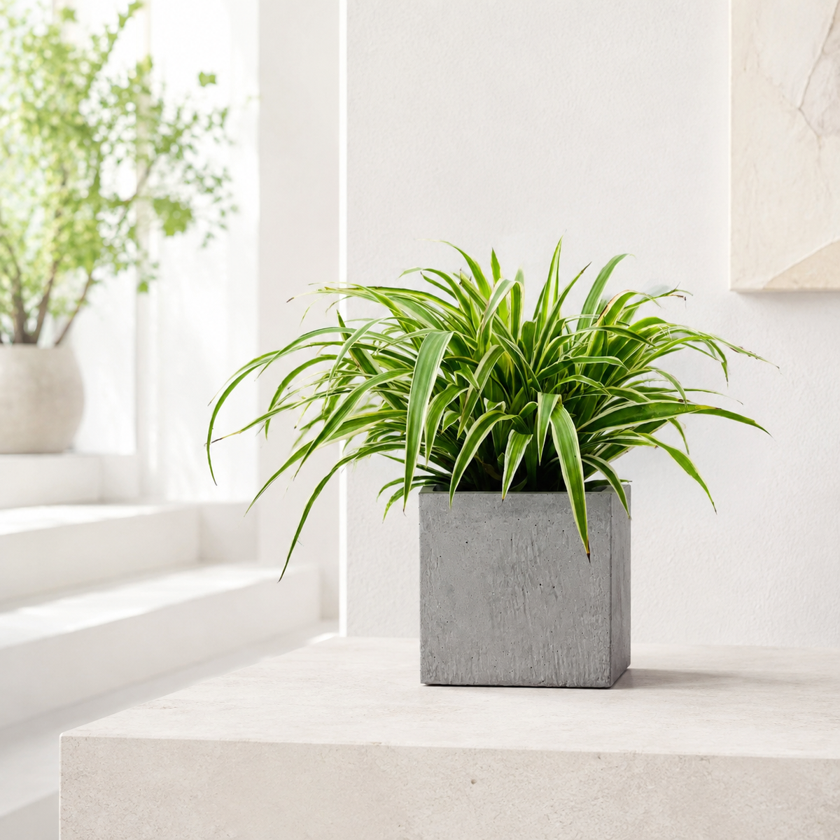 Concrete objects – square concrete plant pot cover 002